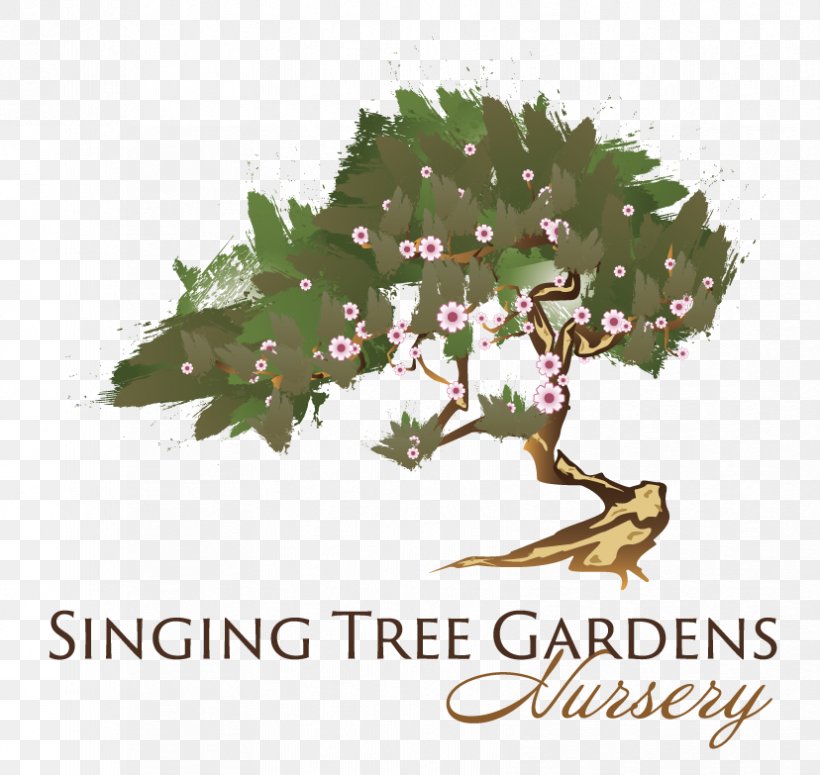 Tree Garden Mediterranean Cypress Conifers Nursery, PNG, 828x783px, Tree, Branch, Conifers, Cupressus, Fir Download Free