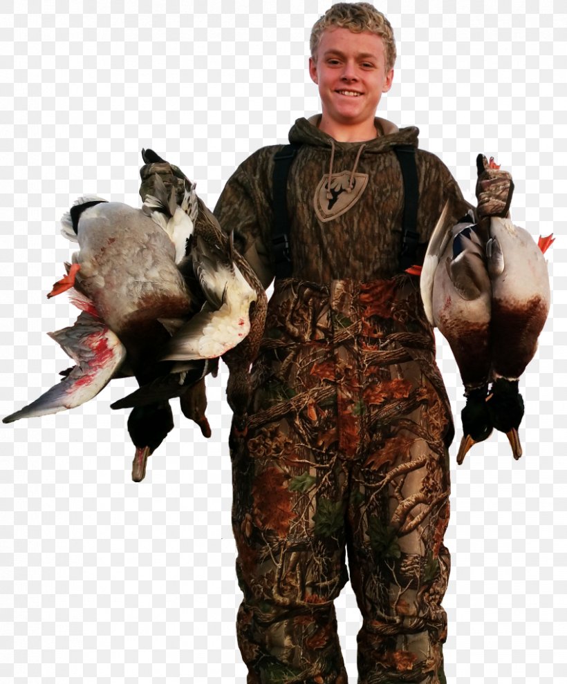 Duck Lac Qui Parle County, Minnesota Hunting Mallard, PNG, 848x1024px, Duck, Animal, Big Stone County Minnesota, Duck Hunt, Fur Download Free
