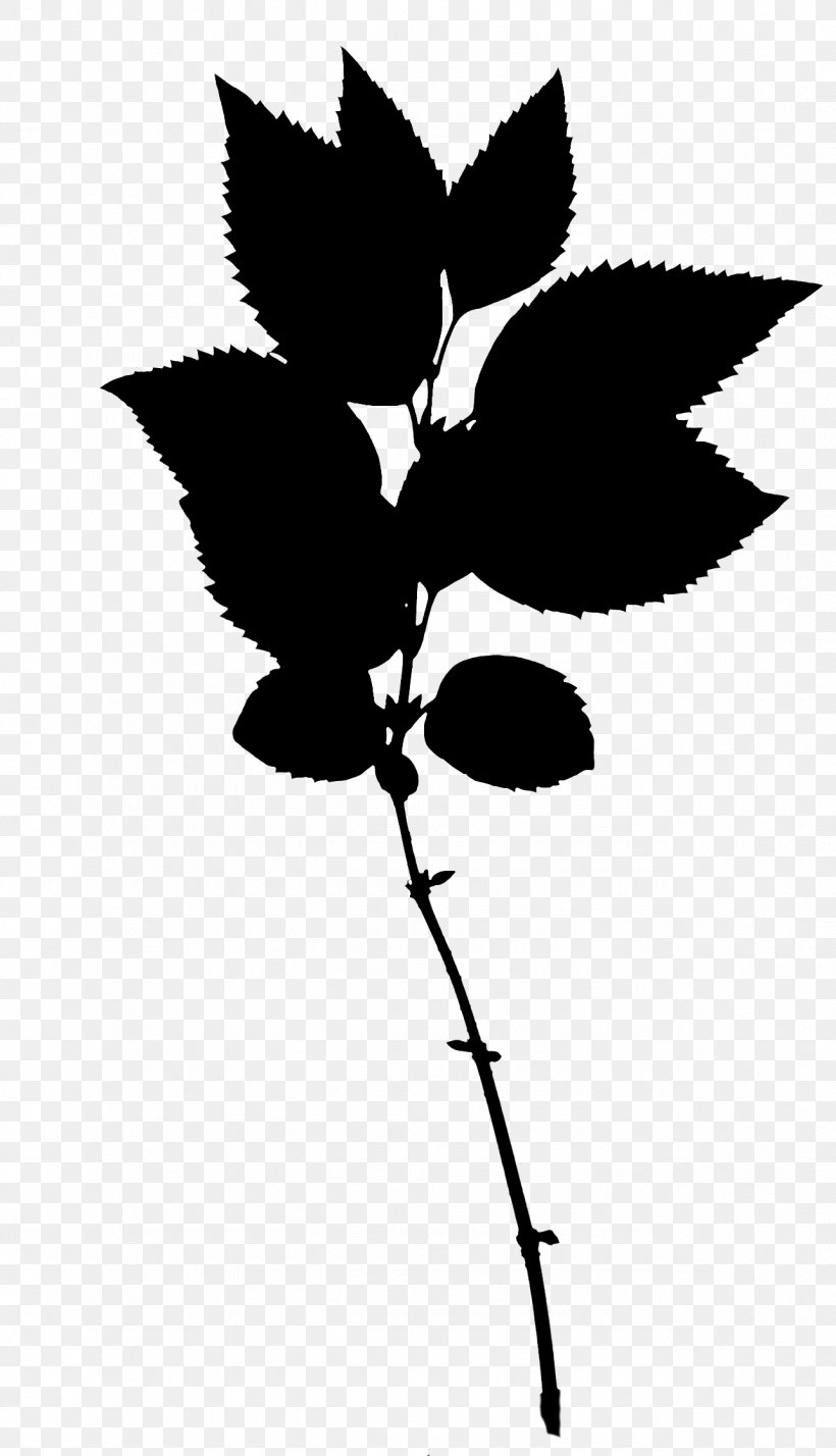 Flowering Plant Plant Stem Leaf Silhouette, PNG, 1285x2239px, Flower, Blackandwhite, Botany, Branch, Branching Download Free