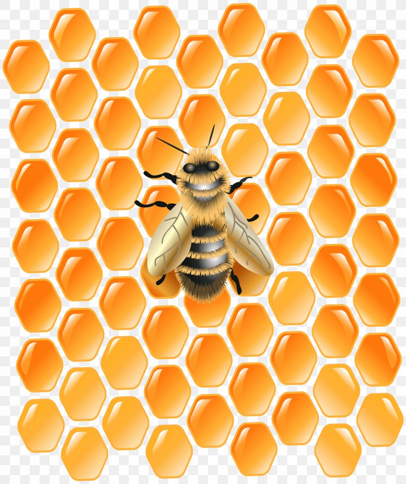 Honey Bee Honeycomb Clip Art, PNG, 5027x6000px, Bee, Beehive, Hexagon, Honey, Honey Bee Download Free