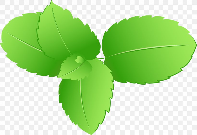 Leaf Green, PNG, 2001x1367px, Leaf, Coreldraw, Drinking, Grass, Green Download Free