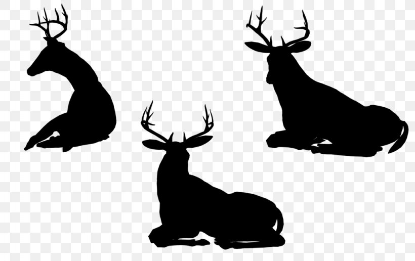Reindeer Black & White, PNG, 1024x645px, Reindeer, Antler, Black White M, Blackandwhite, Deer Download Free