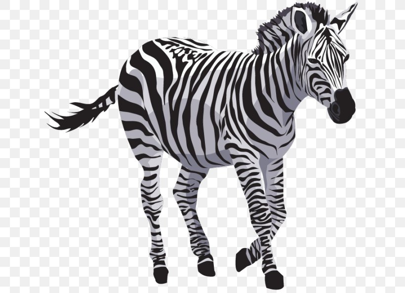 Zebra, PNG, 640x593px, Zebra, Big Cats, Black And White, Horse Like Mammal, Mammal Download Free