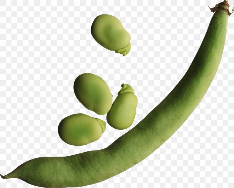 Chakhokhbili Common Bean Pea Food Kidney Bean, PNG, 2200x1766px, Chakhokhbili, Banana, Banana Family, Bean, Broad Bean Download Free