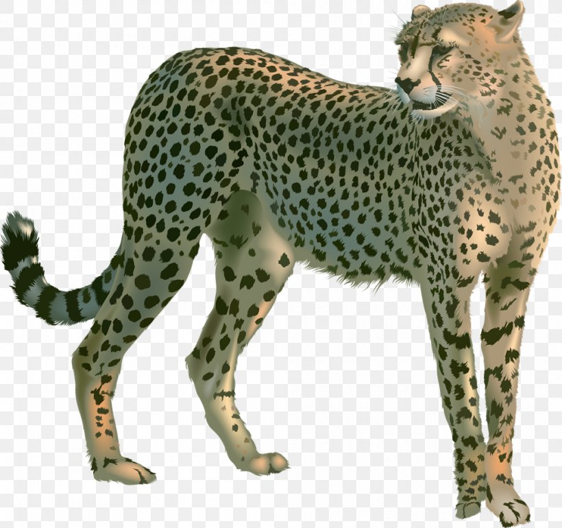 Cheetah Felidae Clip Art, PNG, 1000x940px, Cheetah, Animal Figure, Big Cats, Carnivoran, Cat Like Mammal Download Free