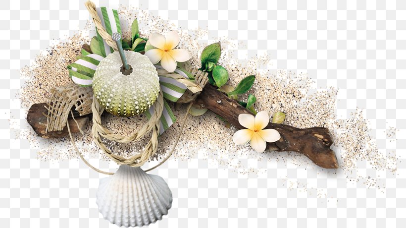 Sea Clip Art, PNG, 800x460px, Sea, Albom, Blog, Cut Flowers, Digital Image Download Free