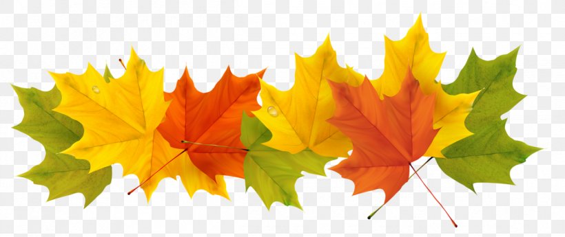 Spain Weather Season Spanish Winter, PNG, 1195x503px, Autumn Leaf Color, Autumn, Color, Description, Green Download Free