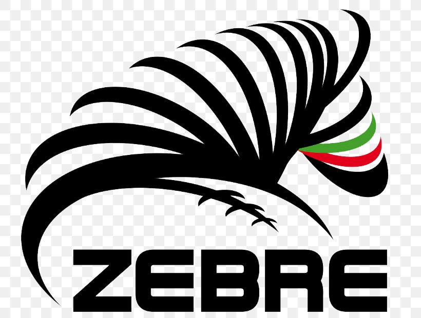 Zebre Rugby Club European Rugby Challenge Cup European Rugby Champions Cup Ospreys Connacht Rugby Png 800x6px