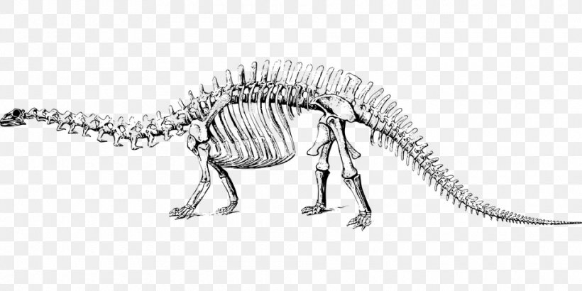 Brontosaurus Tyrannosaurus Stegosaurus Apatosaurus Brachiosaurus, PNG, 960x480px, Brontosaurus, Animal Figure, Apatosaurus, Artwork, Black And White Download Free