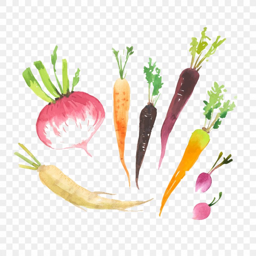 Radish Logo Food, PNG, 1000x1000px, Radish, Business Card, Carrot, Chef, Diet Food Download Free