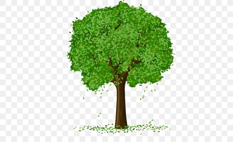 Spring Tree Vector, PNG, 500x500px, Tree, Autumn, Branch, Drawing, Grass Download Free