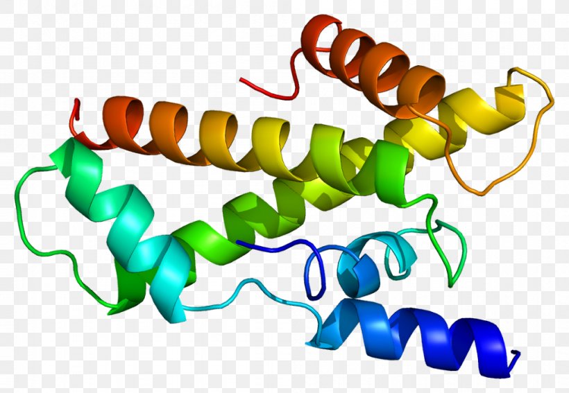 TAF11 Transcription Factor II D TATA-binding Protein, PNG, 1001x693px, Transcription Factor Ii D, Area, Artwork, Gene, Initiation Factor Download Free