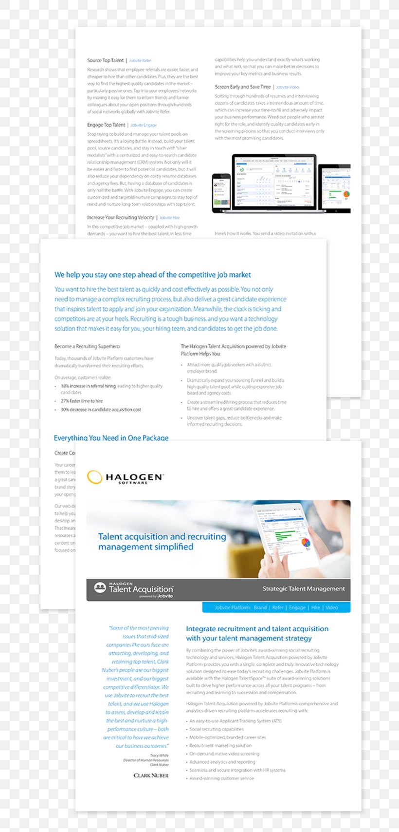 Template Computer Software Web Page Microsoft Excel Recruitment, PNG, 732x1708px, Template, Adibide, Brand, Brochure, Computer Software Download Free