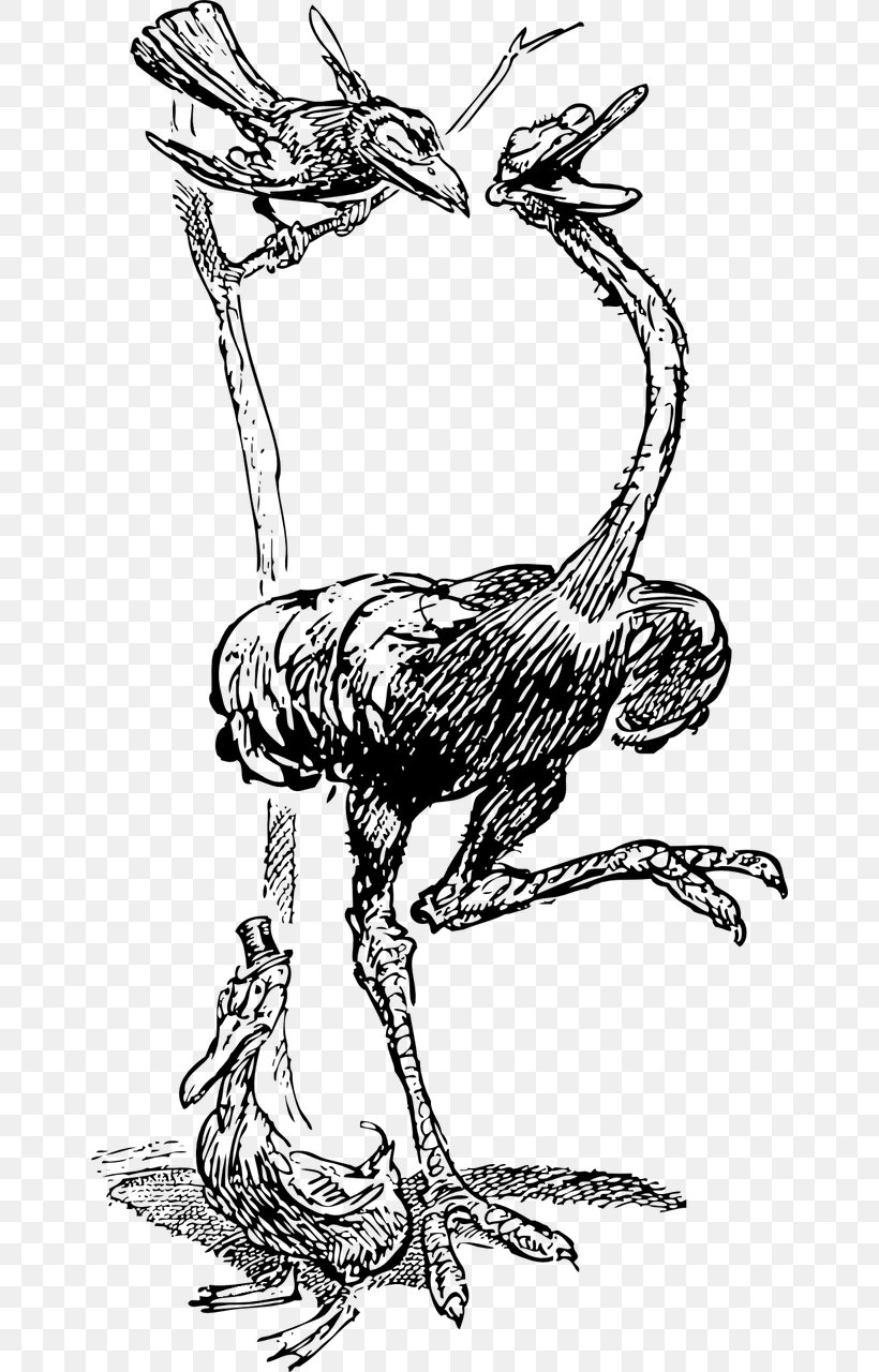 American Crow Bird Common Ostrich Raven Clip Art, PNG, 650x1280px, American Crow, Art, Artwork, Beak, Bird Download Free