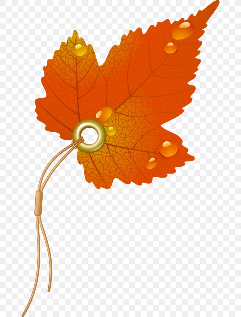 Autumn Leaf Color, PNG, 674x1080px, Autumn Leaf Color, Autumn, Butterfly, Drawing, Flower Download Free