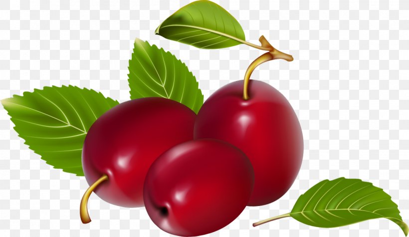 Berry Fruit Clip Art, PNG, 1149x666px, Berry, Apple, Cherry, Cranberry, Currant Download Free