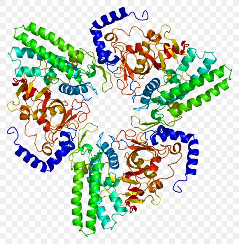 Bleomycin Hydrolase Enzyme Protein Protease, PNG, 887x908px, Hydrolase, Area, Art, Bleomycin, Body Jewelry Download Free