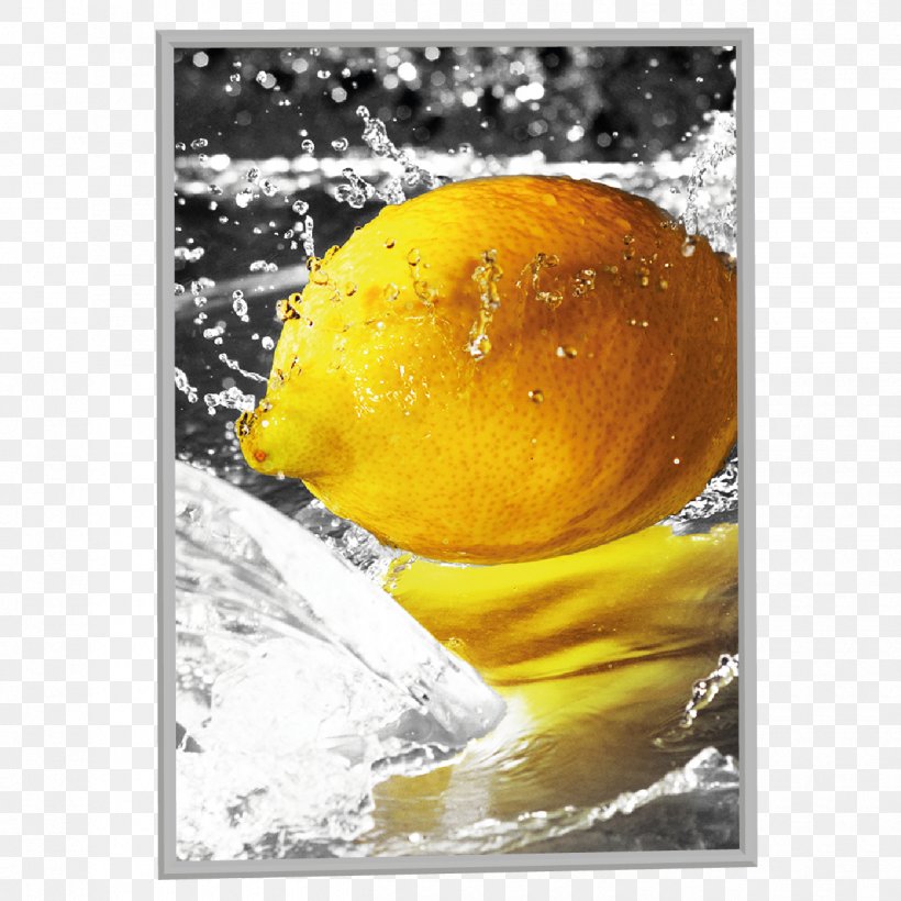 Lemon Wissellijst Sandwich Board Flyer .nl, PNG, 1250x1250px, Lemon, Citrus, Flyer, Fruit, Orange Download Free
