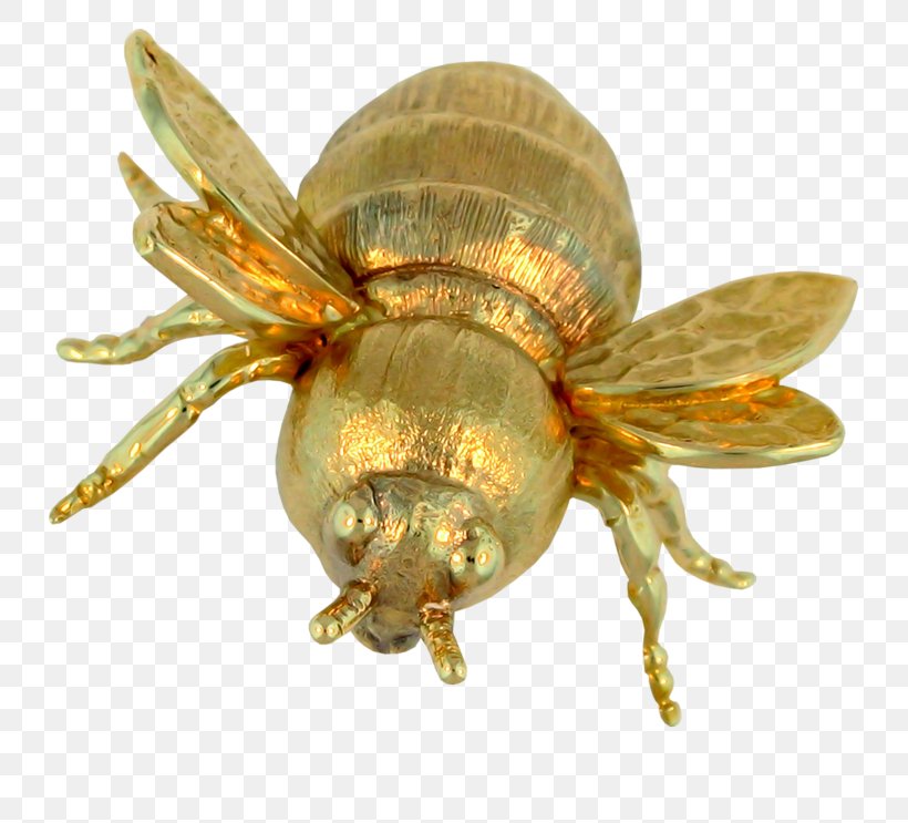 Bee Insect Clip Art, PNG, 800x743px, Bee, Arthropod, Bijou, Insect, Invertebrate Download Free