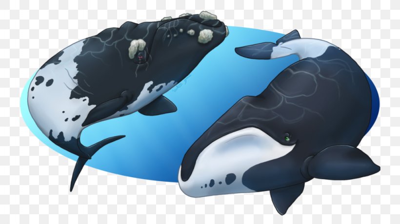 DeviantArt Work Of Art Artist, PNG, 1024x575px, Art, Artist, Biology, Bowhead Whale, Cetacea Download Free