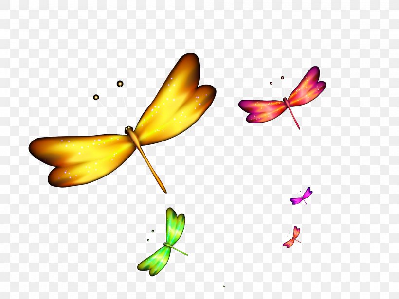 Dragonfly, PNG, 2000x1500px, Plot, Art, Butterfly, Designer, Dragonfly Download Free