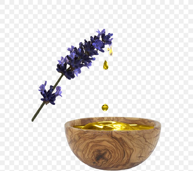 English Lavender Facial Mask Face Herb, PNG, 552x725px, English Lavender, Aroma Compound, Beauty, Camellia Sinensis, Essential Oil Download Free