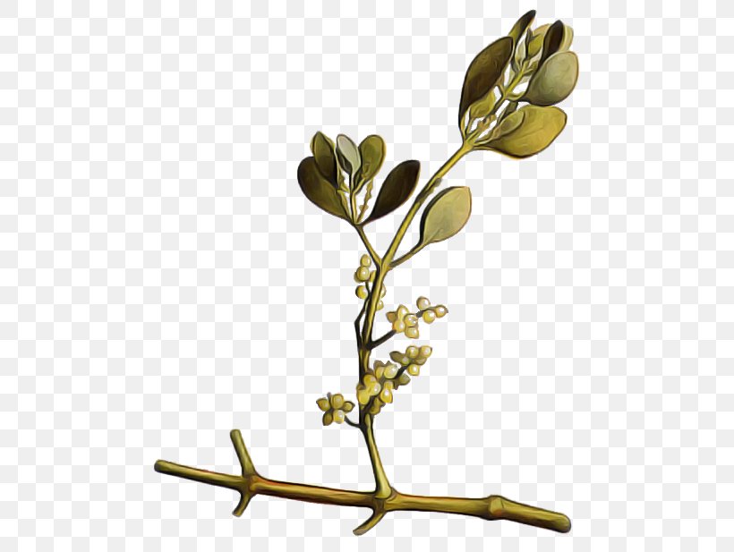 Branch Flower Plant Twig Leaf, PNG, 500x617px, Branch, Bud, Flower, Leaf, Plant Download Free