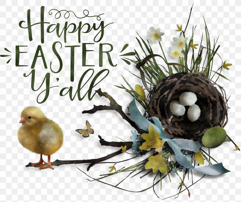 Happy Easter Easter Sunday Easter, PNG, 3000x2509px, Happy Easter, Bird Nest, Birds, Can I Go To The Washroom Please, Christmas Ornament M Download Free