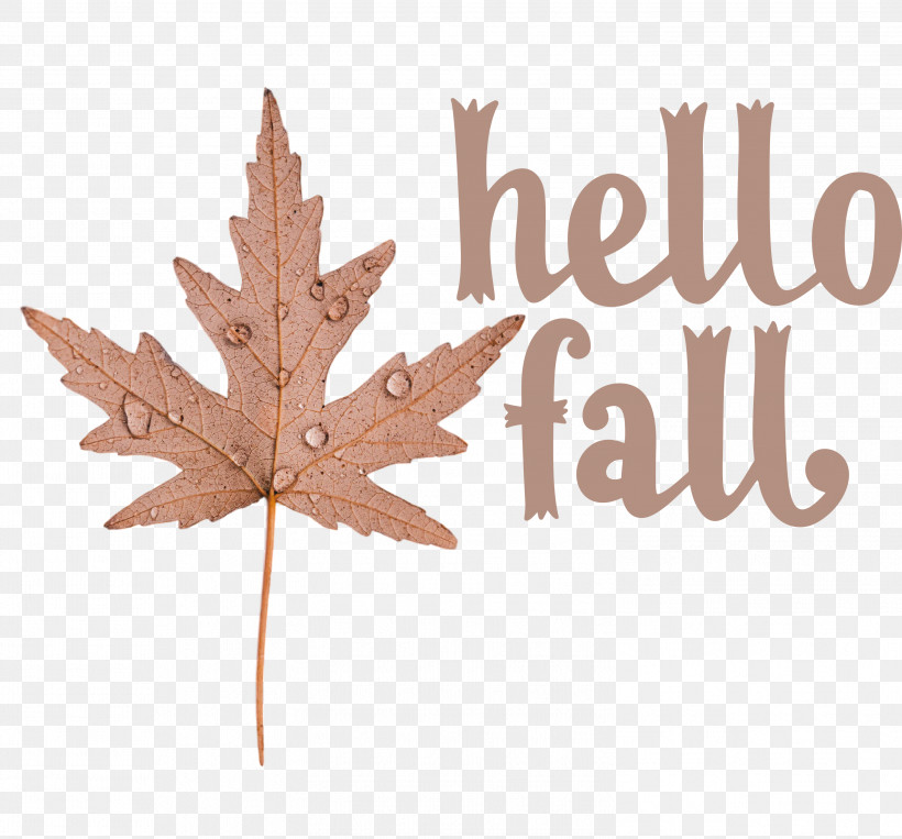 Hello Fall Fall Autumn, PNG, 2999x2793px, Hello Fall, Autumn, Biology, Fall, Leaf Download Free
