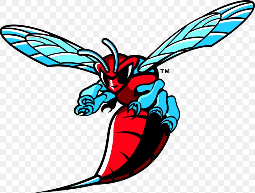 Delaware State University Delaware State Hornets Men's Basketball Delaware State Hornets Football Delaware State Hornets Women's Basketball NCAA Men's Division I Basketball Tournament, PNG, 1200x912px, Delaware State University, Artwork, Baseball, Butterfly, College Basketball Download Free