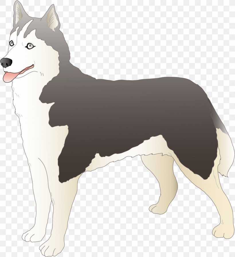 Siberian Husky East Siberian Laika West Siberian Laika Sakhalin Husky Karelian Bear Dog, PNG, 1621x1775px, Siberian Husky, Alaskan Malamute, Animal, Canaan Dog, Carnivoran Download Free