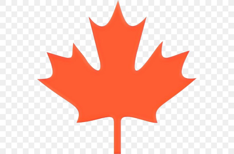 Canada Maple Leaf, PNG, 559x540px, Maple Leaf, Black Maple, Canada, Clothing, Decal Download Free