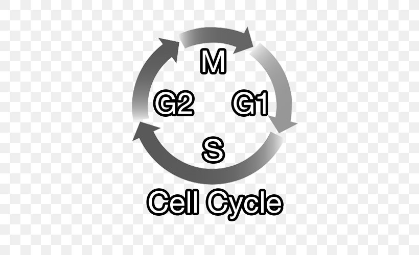 Cell Cycle Cyclin-dependent Kinase 4 CDK Inhibitor G1 Phase, PNG, 500x500px, Cell Cycle, Abemaciclib, Area, Brand, Breast Cancer Download Free