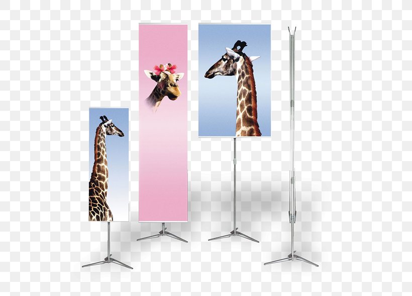 Giraffe Advertising, PNG, 555x588px, Giraffe, Advertising, Giraffidae Download Free