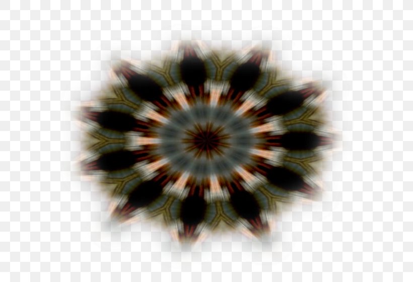 Symmetry Circle Brown Pattern, PNG, 600x560px, Symmetry, Brown, Flower, Petal Download Free