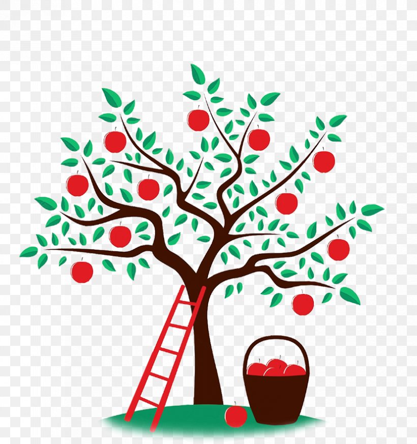 Apple Drawing Orchard Clip Art, PNG, 828x882px, Apple, Artwork, Branch, Christmas, Christmas Decoration Download Free