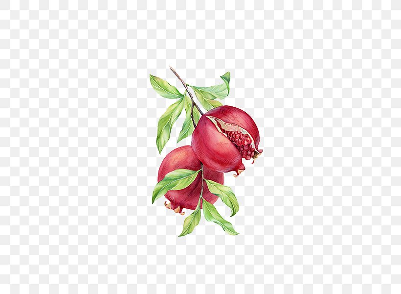 Pomegranate Painting, PNG, 600x600px, Pomegranate, Apple, Branch, Drawing, Figure Painting Download Free