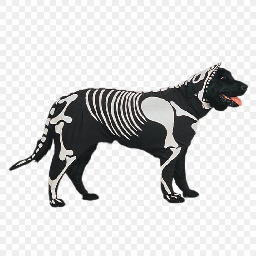 Dog Breed Pet Shih Tzu Costume Halloween, PNG, 850x850px, Dog Breed, Animal, Carnivoran, Costume, Disguise Download Free