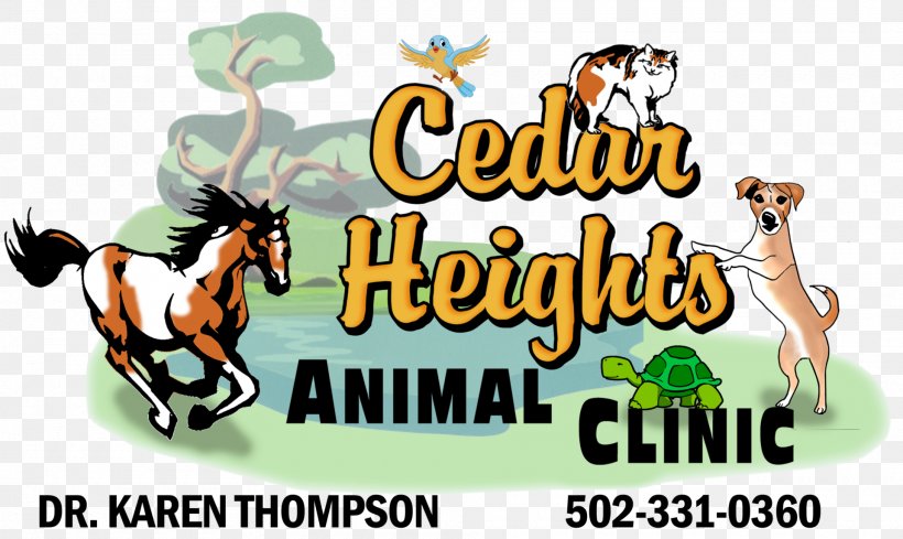 Horse Bardstown Cedar Heights Animal Clinic Hikes Point, Louisville Coxs Creek, Kentucky, PNG, 1920x1147px, Horse, Bardstown, Cartoon, Disease, Health Download Free