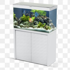 Tropical Fish Pond - Aquarium Filters MatÃ©riel D'aquarium AkvariesÃ¦t, LegetÃ¸j, Pris Pr. Stk Fishkeeping PNG