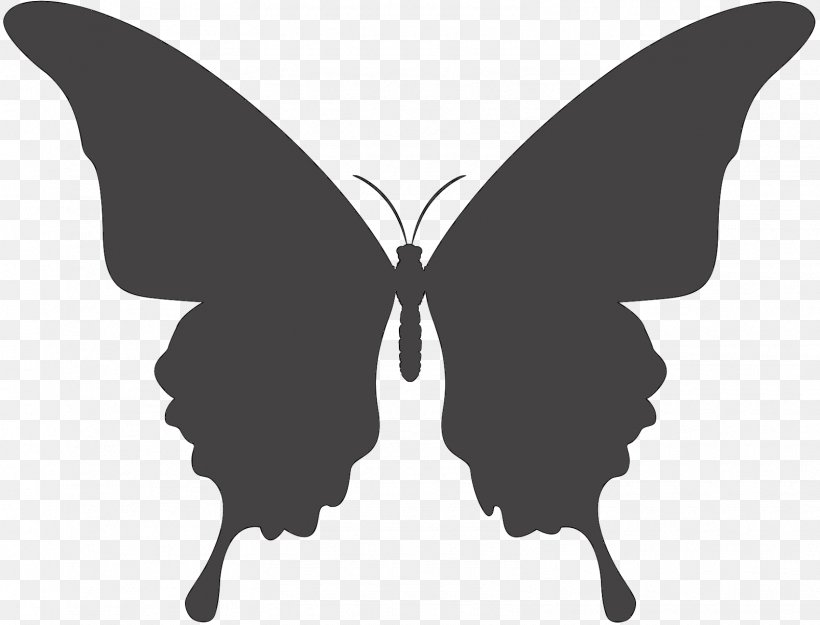Ulysses Butterfly Swallowtail Butterfly Image Vector Graphics, PNG, 1605x1224px, Butterfly, Art, Blackandwhite, Insect, Invertebrate Download Free