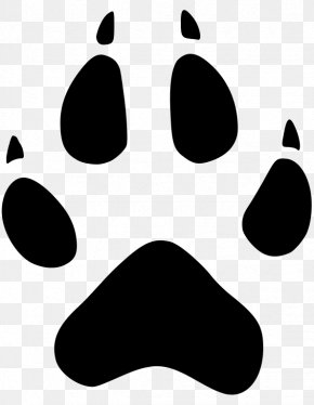 Lobo - Wolf Clip Art PNG