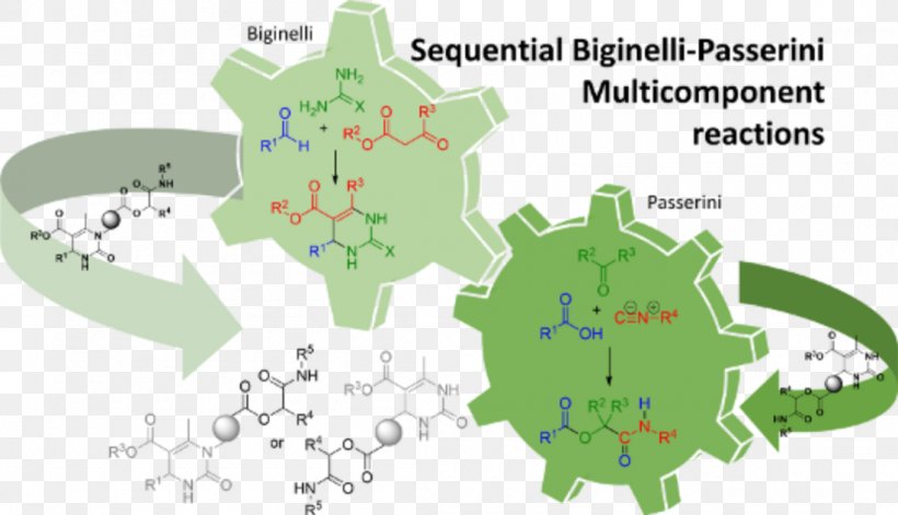 Biginelli Reaction Multi-component Reaction Beilstein Journal Of Organic Chemistry Chemical Reaction, PNG, 1100x632px, Biginelli Reaction, Area, Cascade Reaction, Chemical Reaction, Chemical Synthesis Download Free