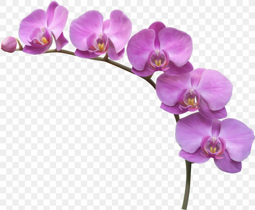 Clip Art, PNG, 1200x987px, Royaltyfree, Cut Flowers, Flower, Flowering Plant, Lilac Download Free