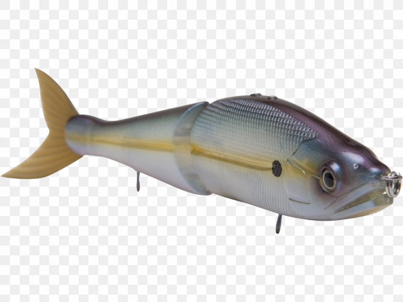Mackerel Fish Products Milkfish Oily Fish, PNG, 1200x900px, Mackerel, Ac Power Plugs And Sockets, Bonito, Bony Fish, Chartreuse Download Free