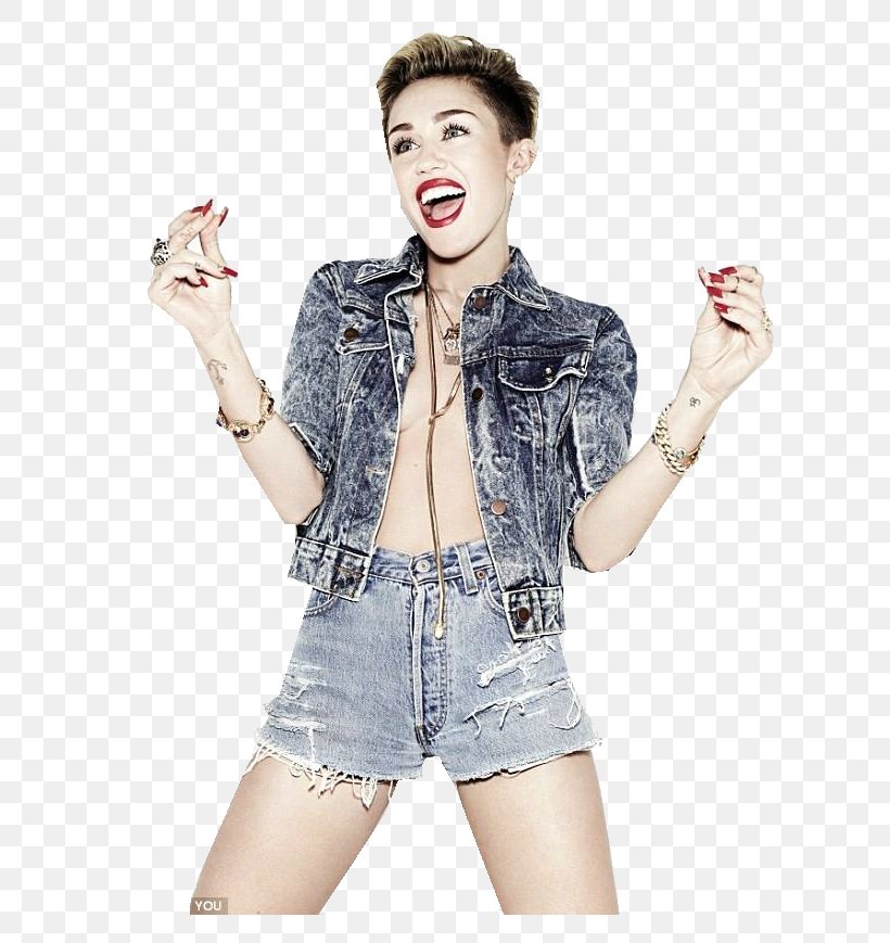 Miley Cyrus YouTube Her Bangerz, PNG, 727x869px, Watercolor, Cartoon, Flower, Frame, Heart Download Free