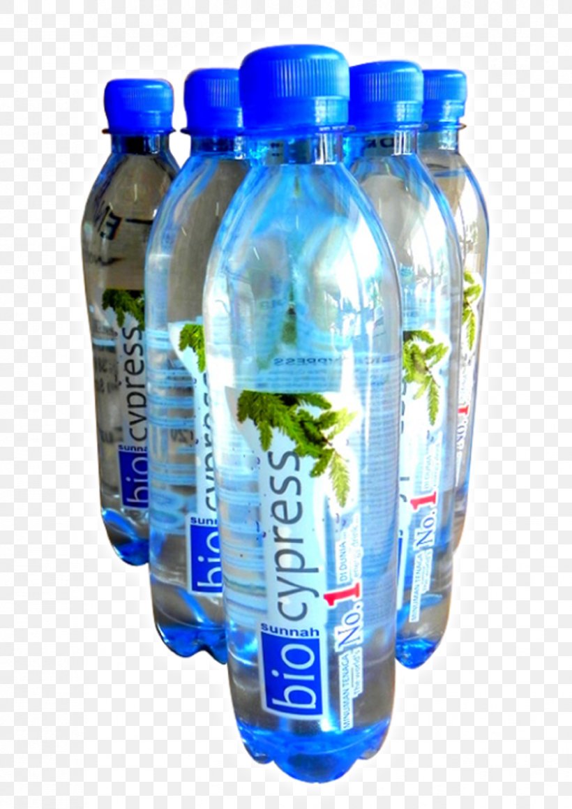 Water Bottles Mineral Water Plastic Bottle Bottled Water, PNG, 827x1169px, Water Bottles, Bottle, Bottled Water, Drinking Water, Mineral Download Free