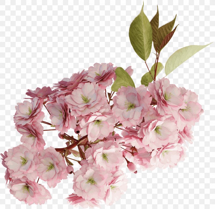 Cherry Blossom Flower, PNG, 976x950px, Cherry Blossom, Architecture, Artificial Flower, Blossom, Bouquet Download Free