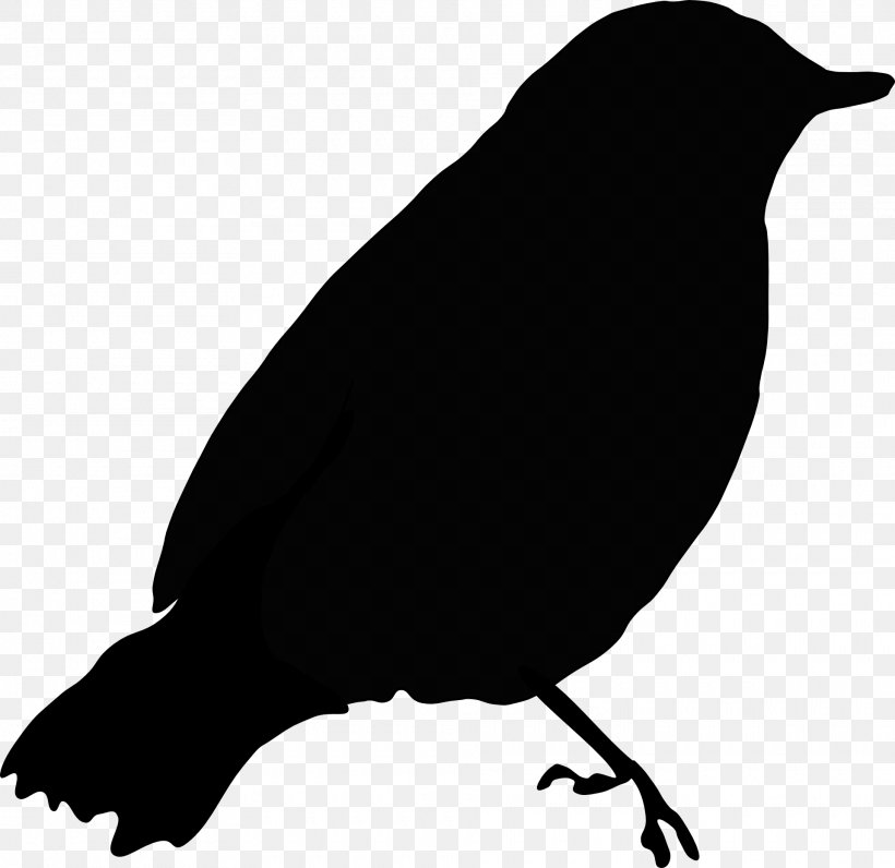 Common Blackbird Crows Clip Art, PNG, 1920x1866px, Bird, American Crow, Beak, Black And White, Branch Download Free