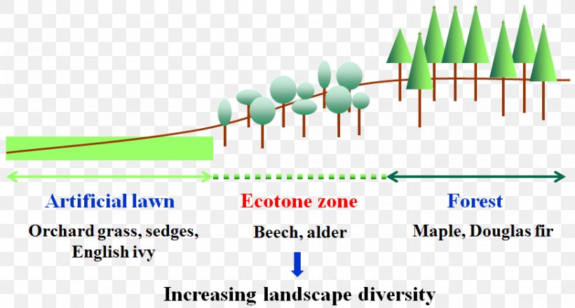 Ecotone Population Ecology Ecosystem Biology, PNG, 874x469px, Ecology, Area, Biology, Community, Concept Download Free